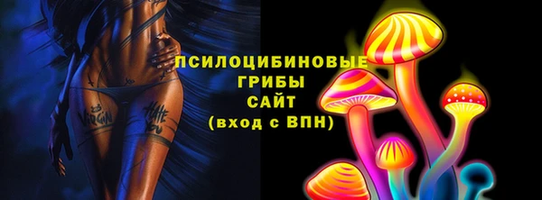 mdpv Бугульма
