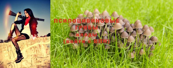 МДМА Бородино