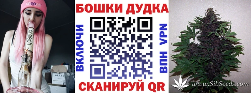 даркнет как зайти  где можно купить наркотик  KRAKEN вход  Циолковский  Конопля марихуана 